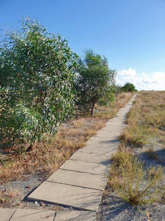 Vista Mare Su Tre Piani Con Giardino Villa Falerna Eksteriør bilde